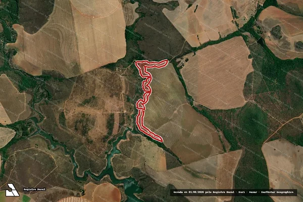 Imagem de satélite — Embargo IBAMA — Infração da Flora - Cristalina/GO