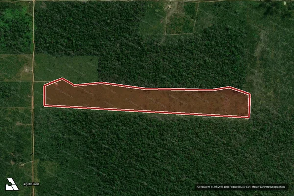 Imagem de satélite de Infração Ambiental em Porto Velho - RO