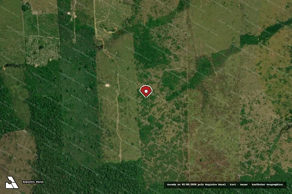 Imagem de satélite de Infração Ambiental em Apuí - AM (marcador da localização)