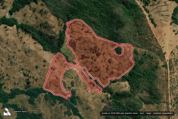 Imagem de satélite de Infração da Flora em Goiandira - GO