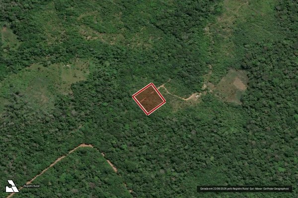 Imagem de satélite de Infração Ambiental em Vitória do Jari - AP