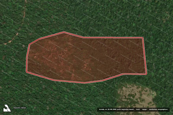 Imagem de satélite — Embargo IBAMA — Infração Ambiental — Terra Santa/PA