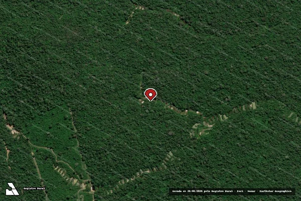 Imagem de satélite de Infração Ambiental em Itaituba - PA (marcador da localização)