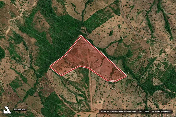 Imagem de satélite — Embargo IBAMA — Infração da Flora — Pequizeiro/TO