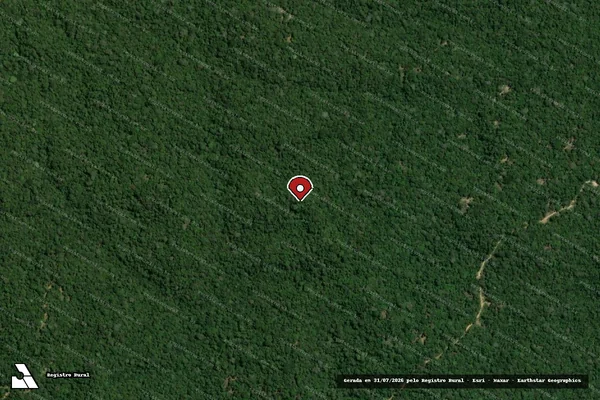 Imagem de satélite — Embargo IBAMA — Infração da Flora - Portel/PA