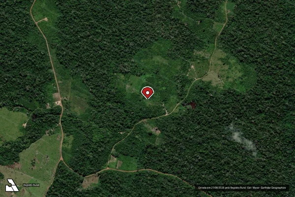 Imagem de satélite de Infração Ambiental em Santarém - PA (marcador da localização)