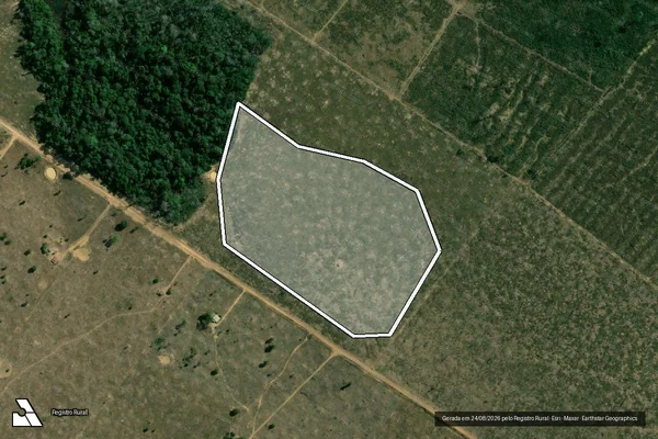 Imagem de satélite de Infração da Flora em Machadinho D'Oeste - RO