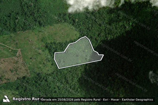 Imagem de satélite de Infração da Flora em Uruará - PA