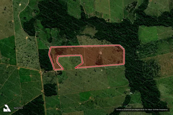 Imagem de satélite de Infração da Flora em Juína - MT