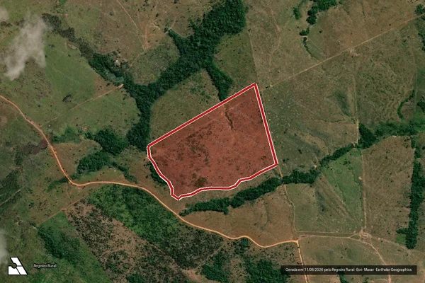 Imagem de satélite de Infração da Flora em Colniza - MT