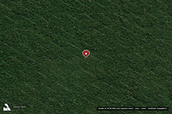 Imagem de satélite de Infração Ambiental em Colniza - MT (marcador da localização)