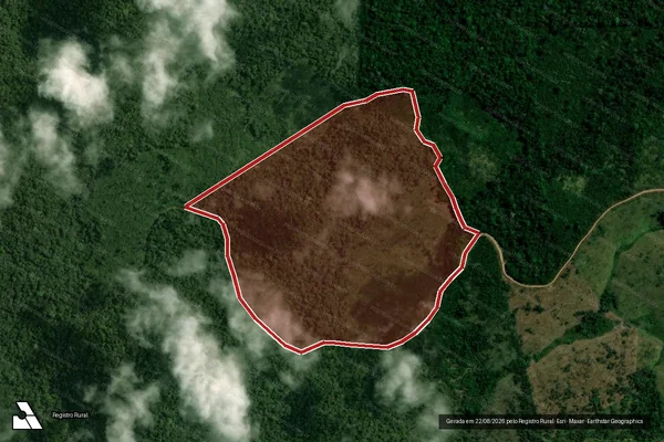 Imagem de satélite de Infração da Flora em Portel - PA