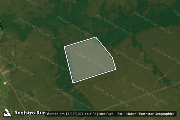 Imagem de satélite — Embargo IBAMA — Desmatamento - Porto Velho/RO