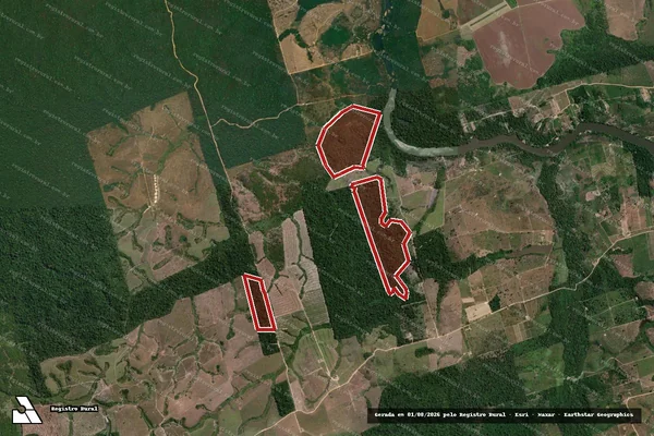 Imagem de satélite de Infração da Flora em Novo Progresso - PA