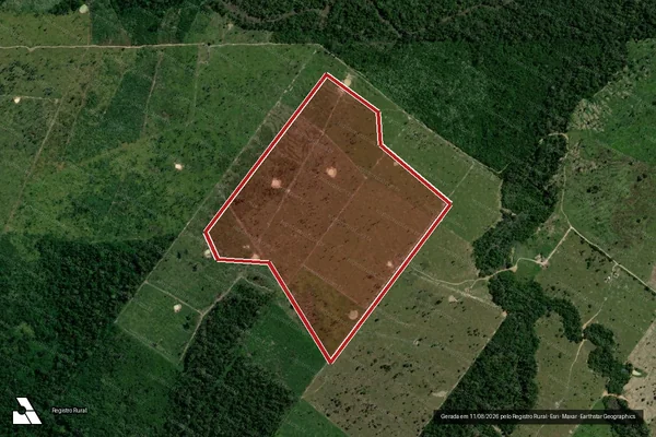 Imagem de satélite de Infração Ambiental em Porto Velho - RO
