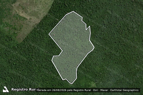 Imagem de satélite de Infração da Flora em São Félix do Xingu - PA