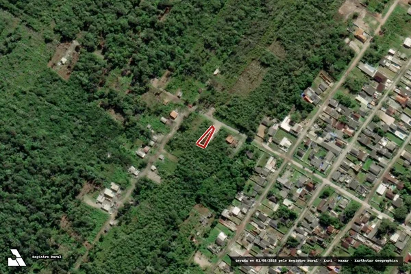 Imagem de satélite de Infração da Flora em Pontal do Paraná - PR