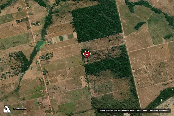 Imagem de satélite de Infração da Flora em Carlinda - MT (marcador da localização)