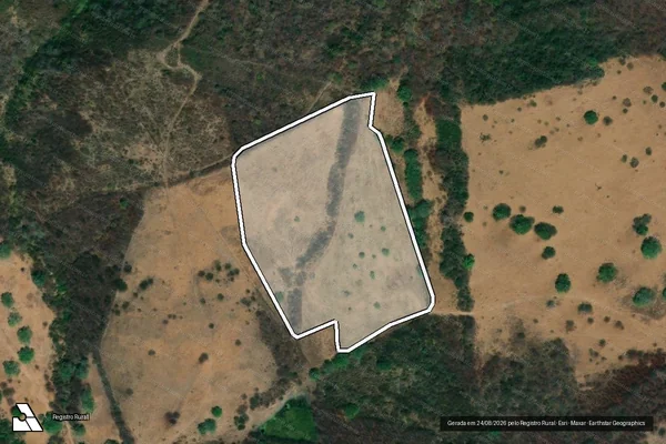 Imagem de satélite de Infração da Flora em Palmeira dos Índios - AL