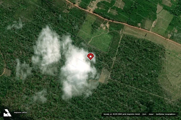 Imagem de satélite de Infração da Flora em Santarém - PA (marcador da localização)