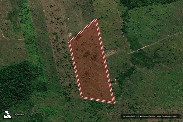 Imagem de satélite de Infração da Flora em Colniza - MT