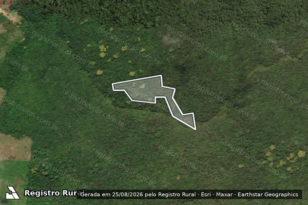 Imagem de satélite de Infração da Flora em Açailândia - MA