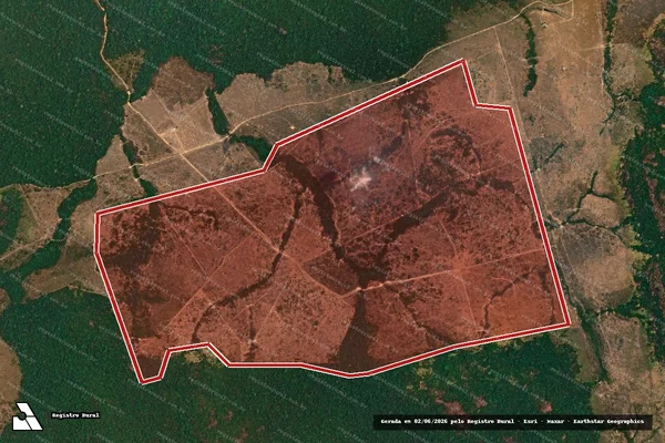 Imagem de satélite de Infração da Flora em Novo Progresso - PA