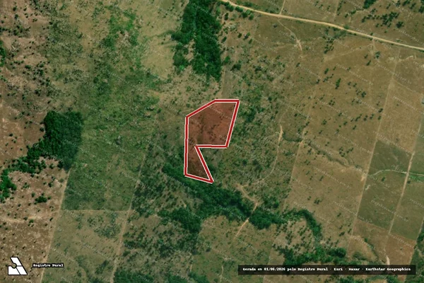 Imagem de satélite de Desmatamento em Machadinho D'Oeste - RO