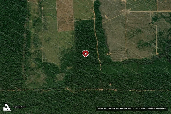 Imagem de satélite de Infração Ambiental em Colniza - MT (marcador da localização)