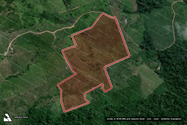Imagem de satélite de Infração da Flora em Bom Jesus do Tocantins - PA