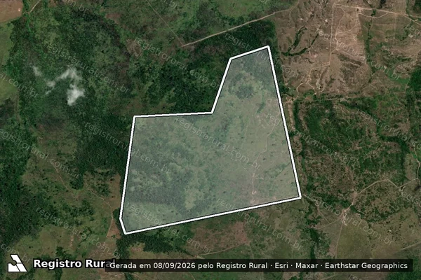 Imagem de satélite de Infração da Flora em São Félix do Xingu - PA