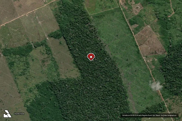 Imagem de satélite — Embargo IBAMA — Infração da Flora - Manaus/AM