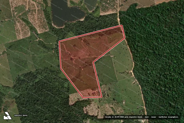 Imagem de satélite de Infração Ambiental em Novo Progresso - PA