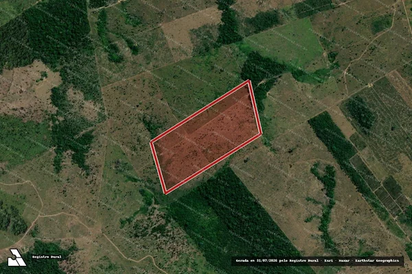 Imagem de satélite de Infração da Flora em Colniza - MT