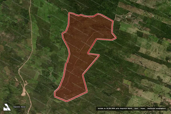 Imagem de satélite de Infração da Flora em Exu - PE