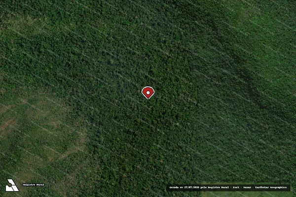 Imagem de satélite de Infração da Flora em Altamira - PA (marcador da localização)