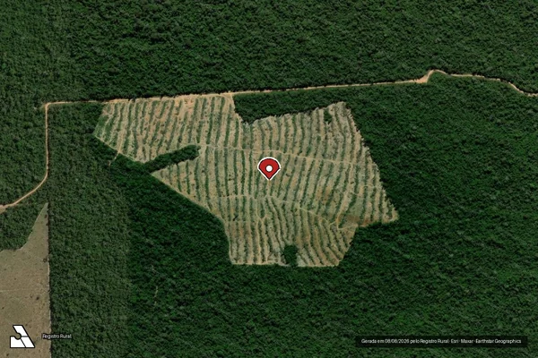 Imagem de satélite de Infração da Flora em Alta Floresta - MT (marcador da localização)