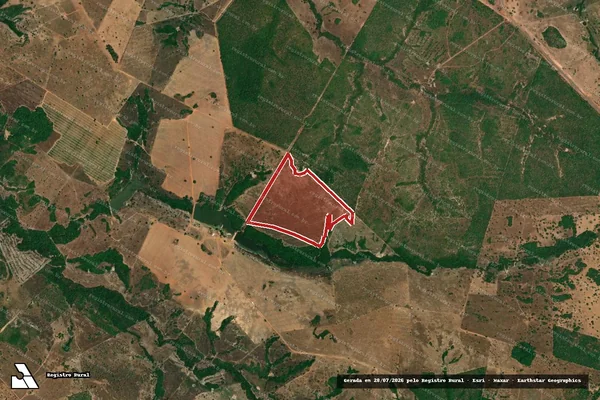 Imagem de satélite de Infração da Flora em Uirapuru - GO