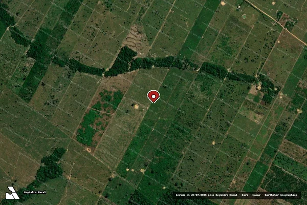 Imagem de satélite de Infração Ambiental em Porto Velho - RO (marcador da localização)