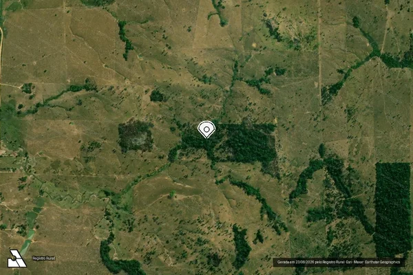 Imagem de satélite de Infração da Flora em Campo Novo de Rondônia - RO (marcador da localização)