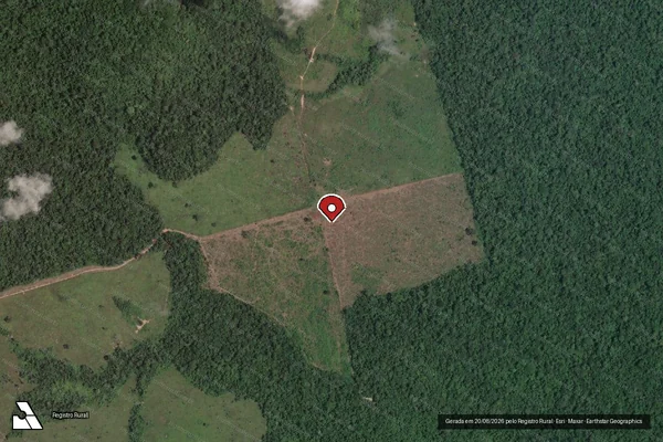 Imagem de satélite de Infração Ambiental em Altamira - PA (marcador da localização)