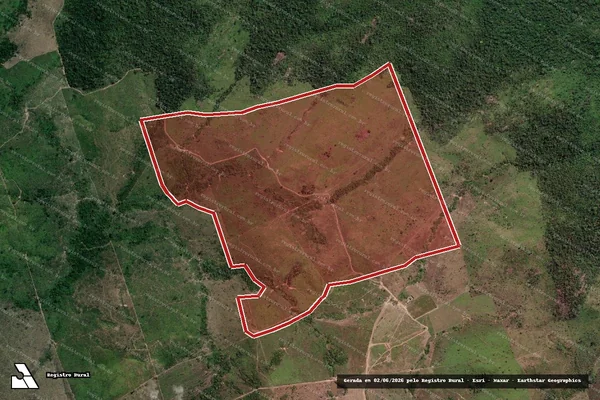 Imagem de satélite de Infração Ambiental em Novo Progresso - PA