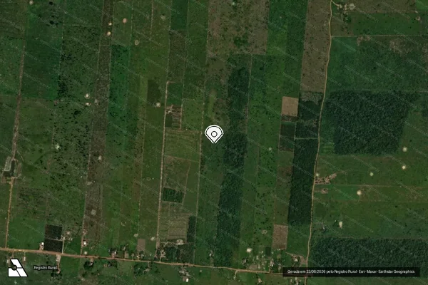 Imagem de satélite de Infração da Flora em Porto Velho - RO (marcador da localização)
