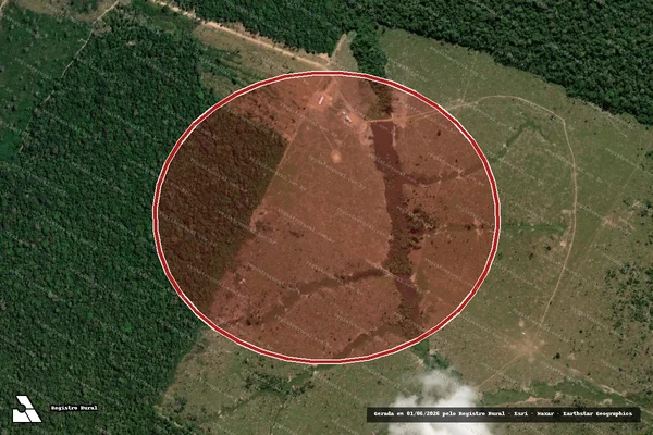 Imagem de satélite de Desmatamento em Boca do Acre - AM