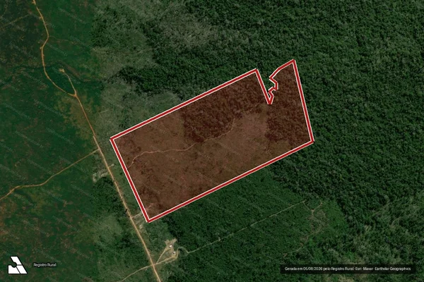 Imagem de satélite de Infração da Flora em Porto Velho - RO