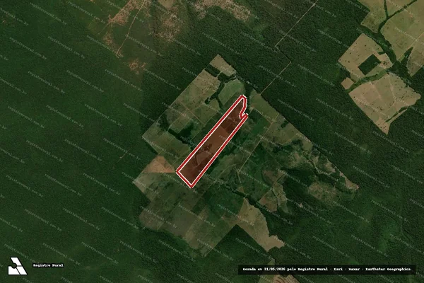 Imagem de satélite — Embargo IBAMA — Infração da Flora - Brasnorte/MT