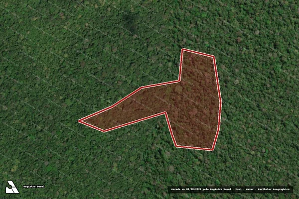 Imagem de satélite de Infração Ambiental em Caroebe - RR