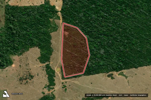 Imagem de satélite de Infração Ambiental em Porto Velho - RO