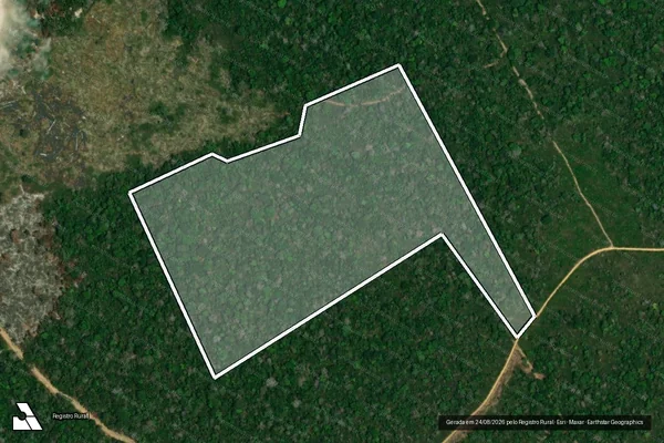 Imagem de satélite — Embargo IBAMA — Infração da Flora - Mojuí Dos Campos/PA