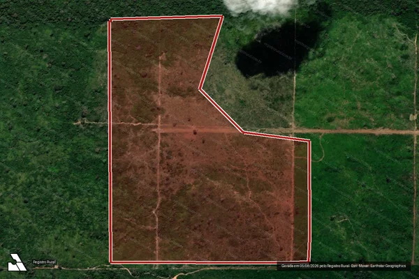 Imagem de satélite — Embargo IBAMA — Infração da Flora - Altamira/PA